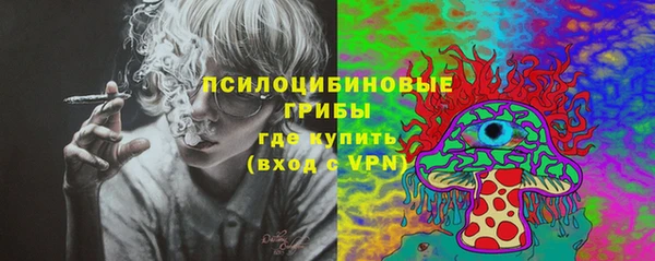 mdpv Бронницы