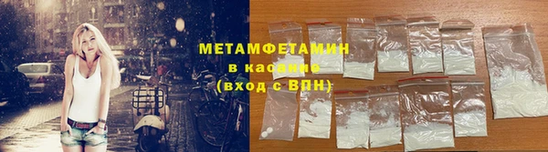 прущие грибы Ступино
