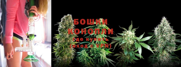 mdpv Бронницы
